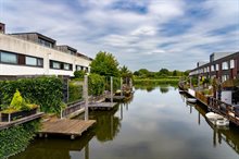 Steigers in Wateringsveld.